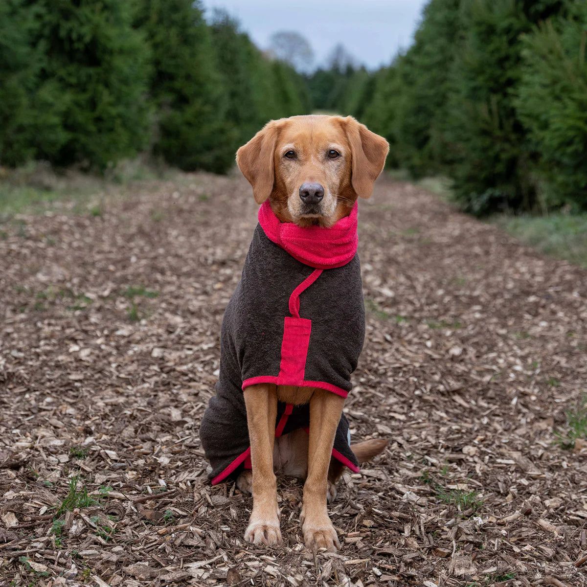 Dog drying coat Dark Chocolate and Raspberry